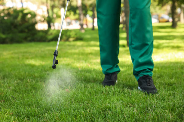 Best Mosquito Control Services  in Cedville, AR