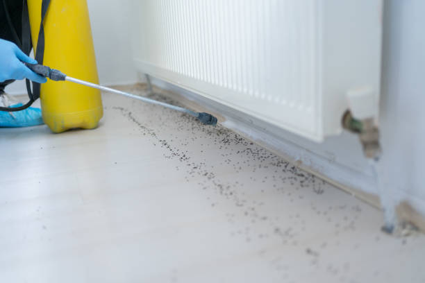 Best Best Pest Control Companies  in Cedville, AR