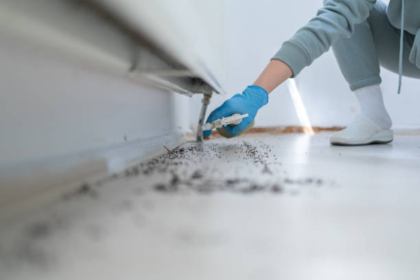 Best Emergency Pest Control  in Cedville, AR