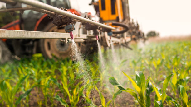 Best Pest Prevention Services  in Cedville, AR